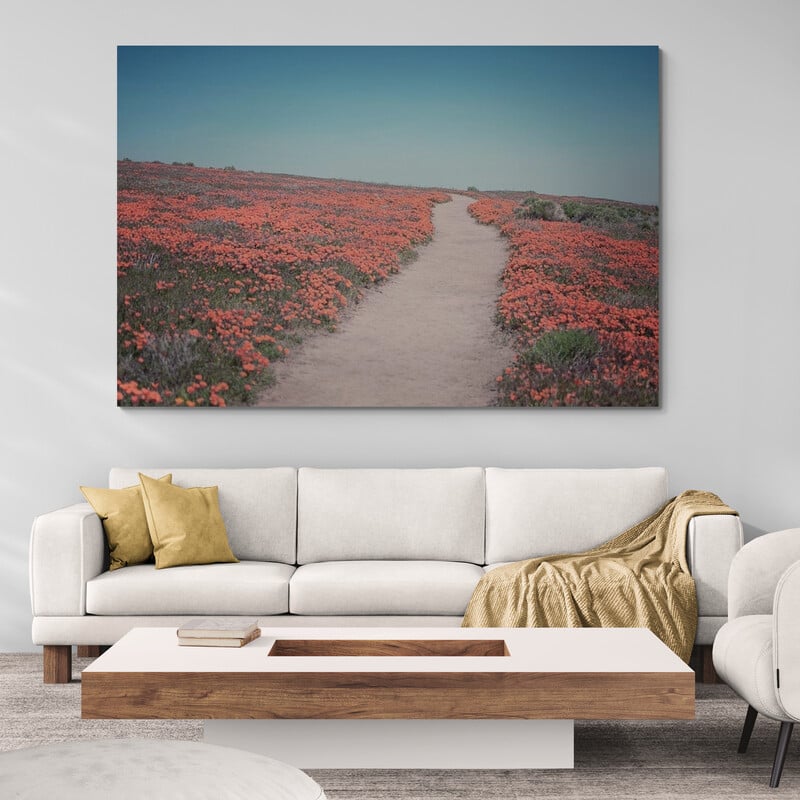 California Blooms IV by Elizabeth Urquhart wall art in a living room