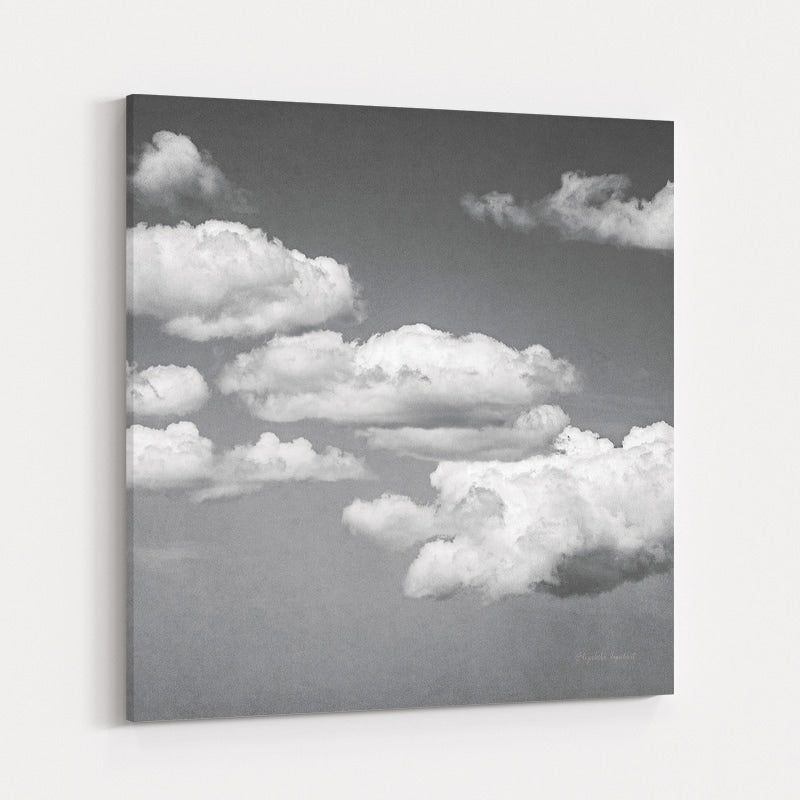 Calm Days III BW by Elizabeth Urquhart wall art