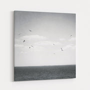 Calm Days IV BW by Elizabeth Urquhart wall art