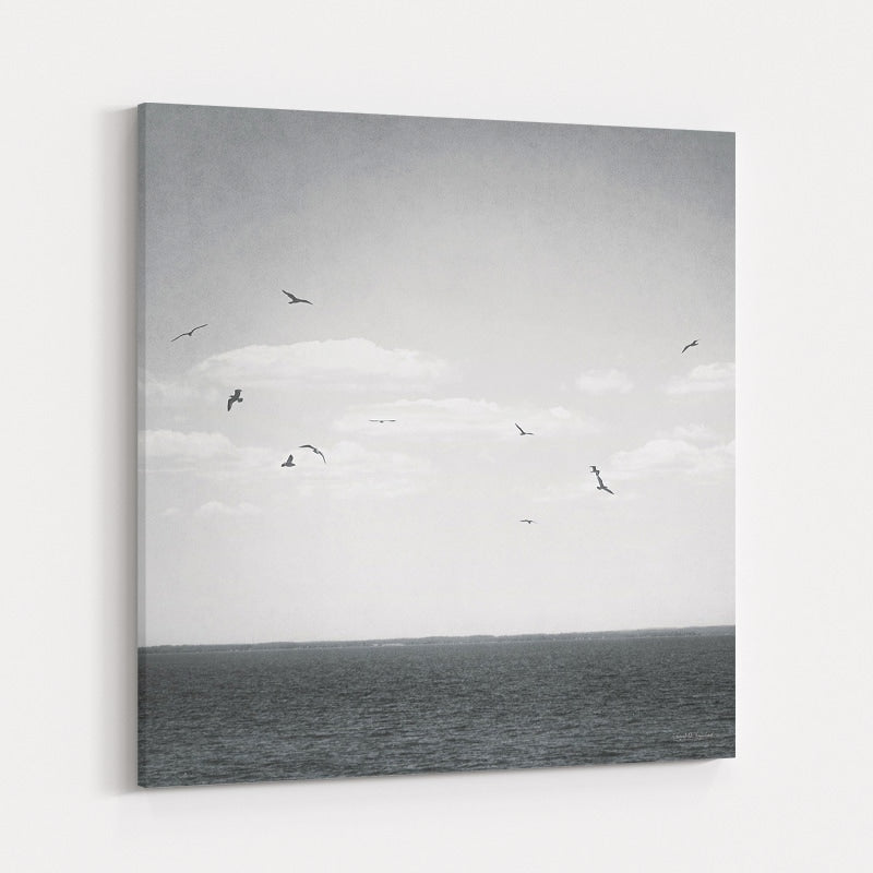 Calm Days IV BW by Elizabeth Urquhart wall art