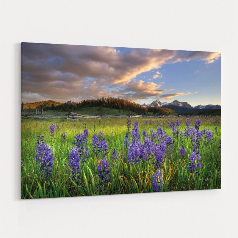 Camas Meadows by Alan Majchrowicz wall art
