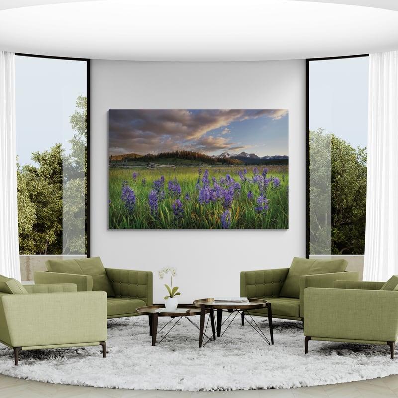 Camas Meadows by Alan Majchrowicz wall art in a living room