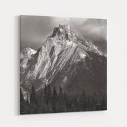 Canadian Rockies by Alan Majchrowicz wall art