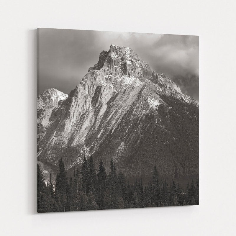 Canadian Rockies by Alan Majchrowicz wall art