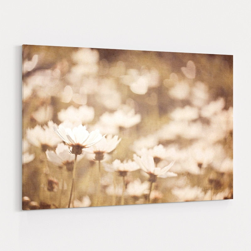 Daisies I Neutral by Elizabeth Urquhart wall art