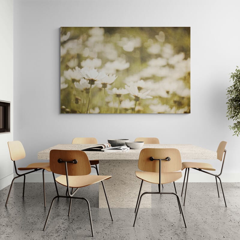 Daisies I by Elizabeth Urquhart wall art from Glam Wall Art