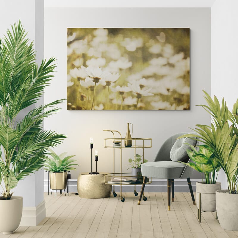 Daisies I by Elizabeth Urquhart wall art in a living room