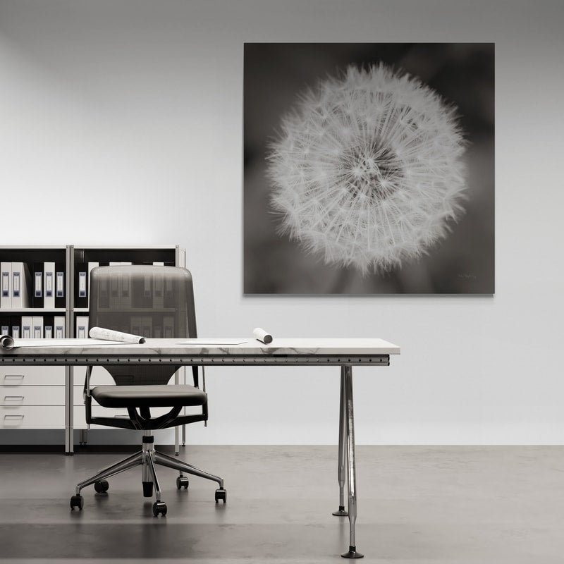 Dandelion Seedhead by Alan Majchrowicz wall art from Glam Wall Art