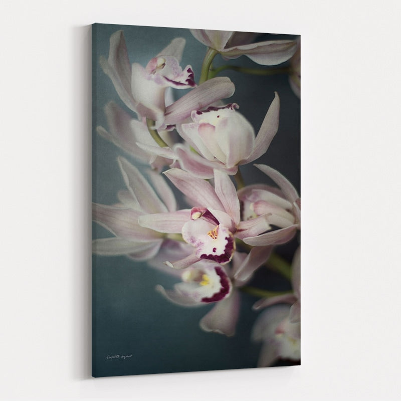 Dark Orchid I by Elizabeth Urquhart wall art