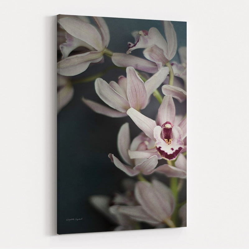 Dark Orchid II by Elizabeth Urquhart wall art