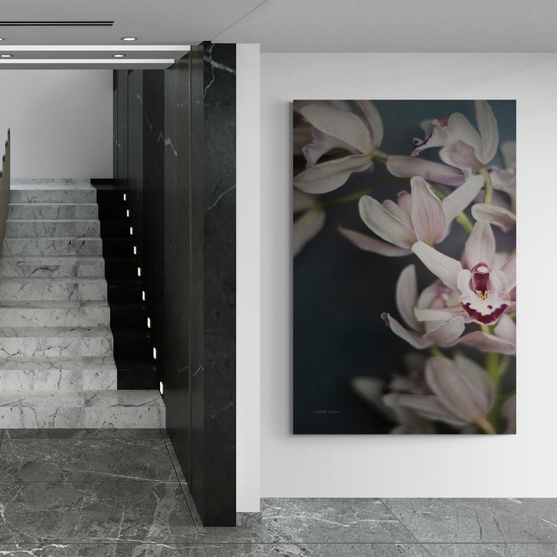 Dark Orchid II by Elizabeth Urquhart wall art from Glam Wall Art