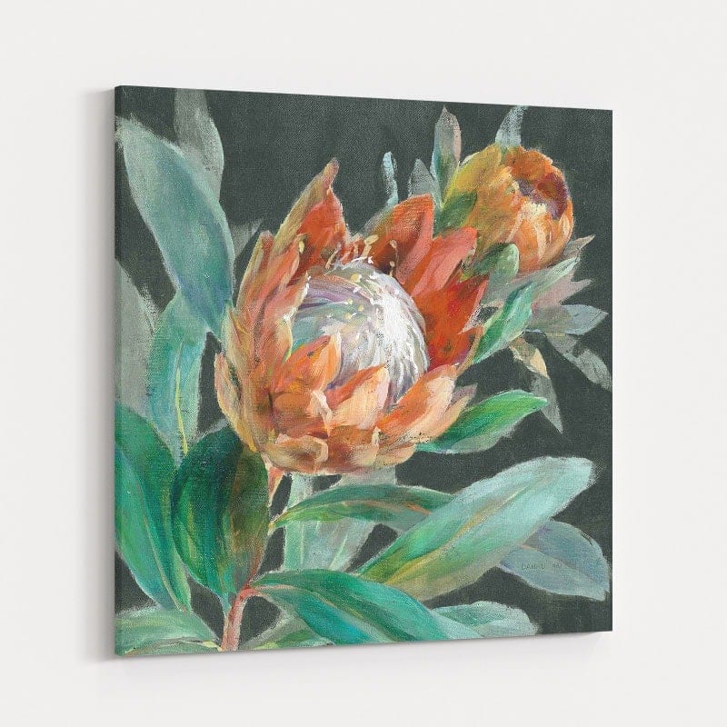 Deep Tropical Protea by Danhui Nai wall art
