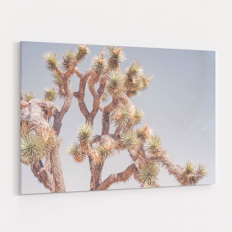 Desert Floral I by Elizabeth Urquhart wall art