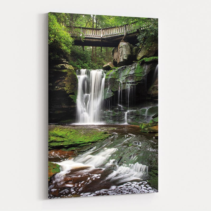 Elakala Falls West I by Alan Majchrowicz wall art