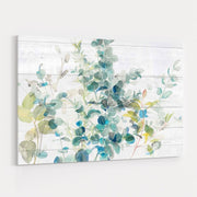 Eucalyptus I On Shiplap by Danhui Nai wall art
