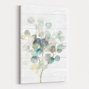 Eucalyptus III On Shiplap by Danhui Nai wall art