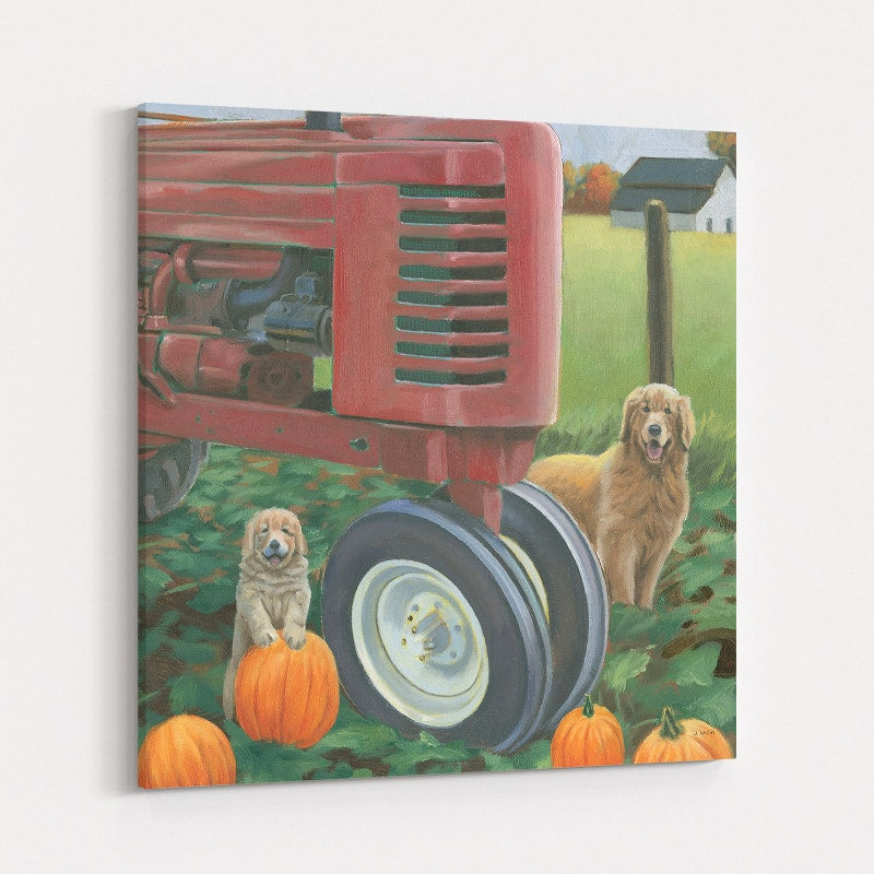 Fall Bounty II by James Wiens wall art