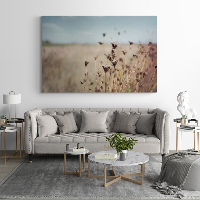 Falling Queen Anne's Lace I by Elizabeth Urquhart wall art in a living room