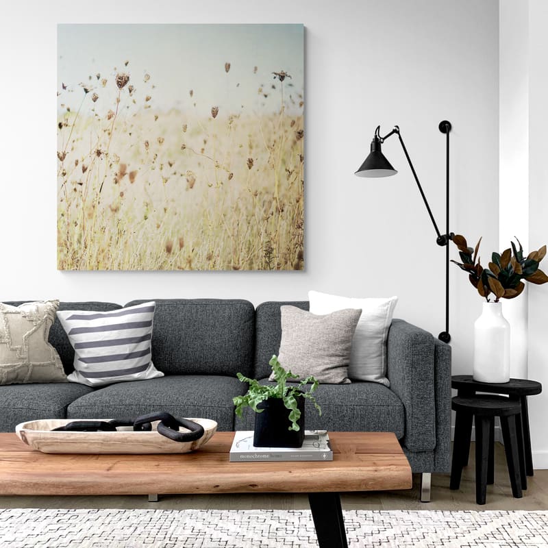 Falling Queen Anne's Lace II by Elizabeth Urquhart wall art in a living room