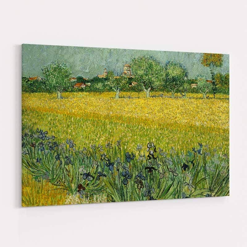 Field with Flowers near Arles 1888 by Vincent Van Gogh wall art