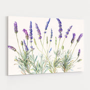 Floursack Lavender V On Linen by Danhui Nai wall art