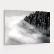 Fog And Forest I Bw by Alan Majchrowicz wall art