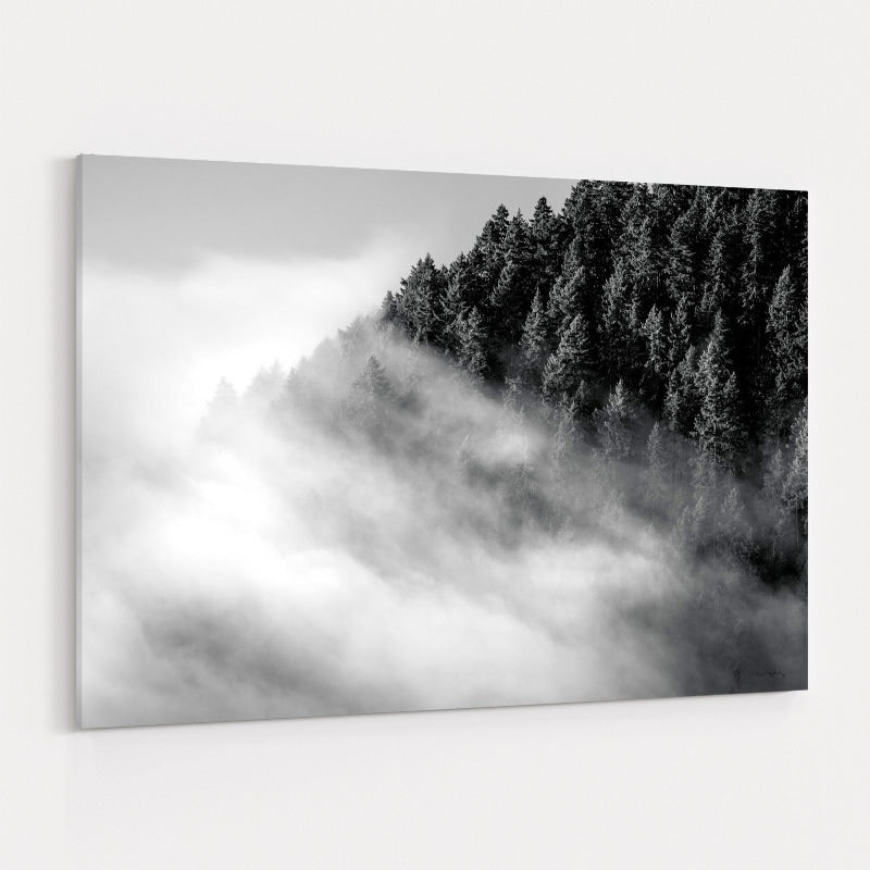 Fog And Forest I Bw by Alan Majchrowicz wall art