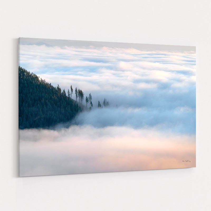 Fog And Forest III Crop by Alan Majchrowicz wall art