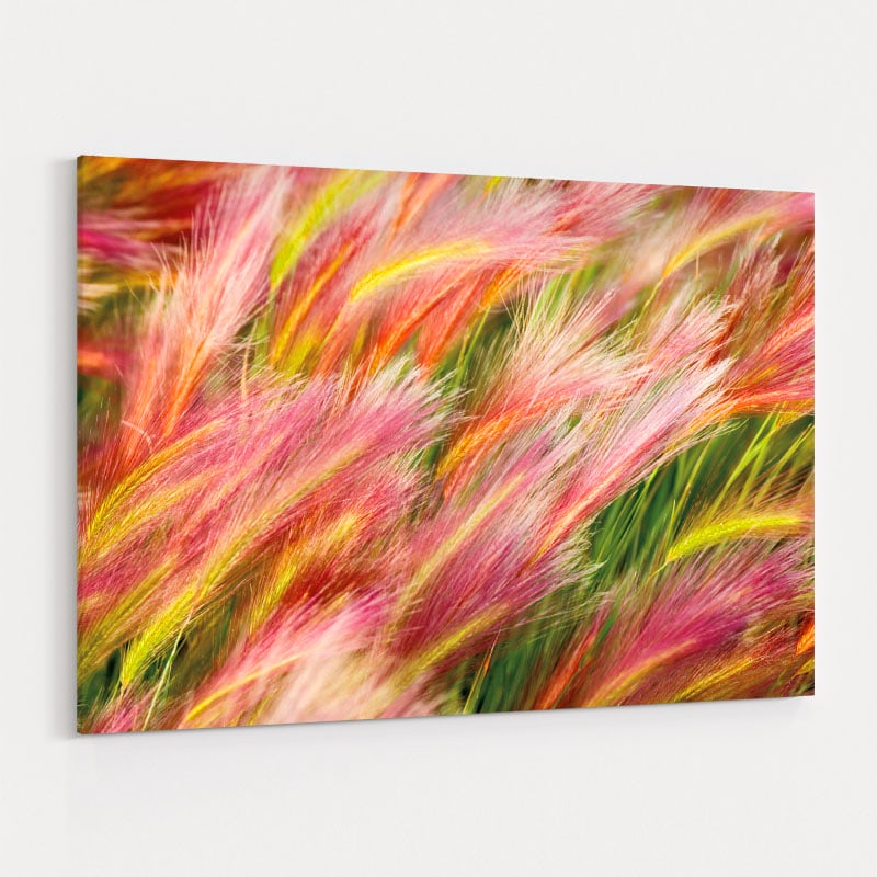 Foxtail Barley I by Alan Majchrowicz wall art