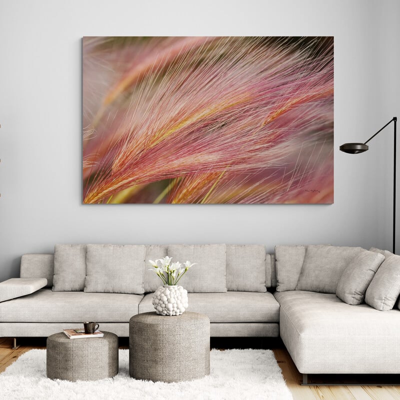 Foxtail Barley Iii by Alan Majchrowicz wall art in a living room