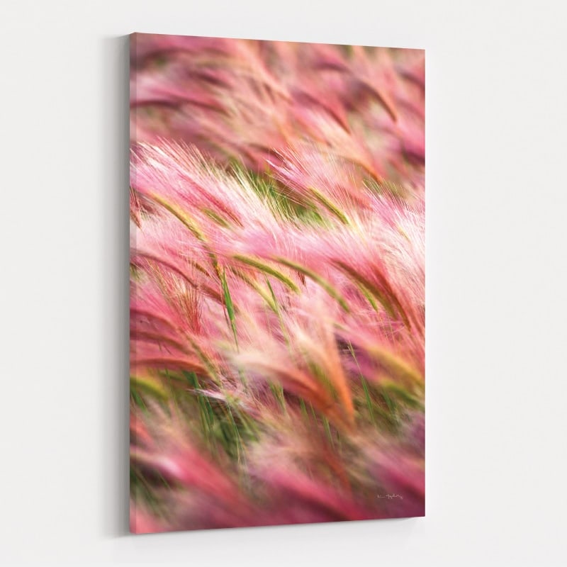 Foxtail Barley Iv by Alan Majchrowicz wall art
