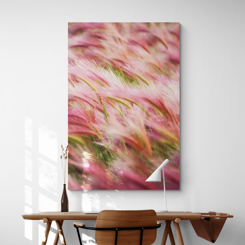Foxtail Barley Iv by Alan Majchrowicz wall art in a living room