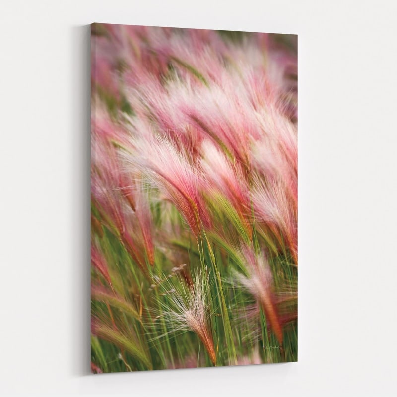 Foxtail Barley V by Alan Majchrowicz wall art