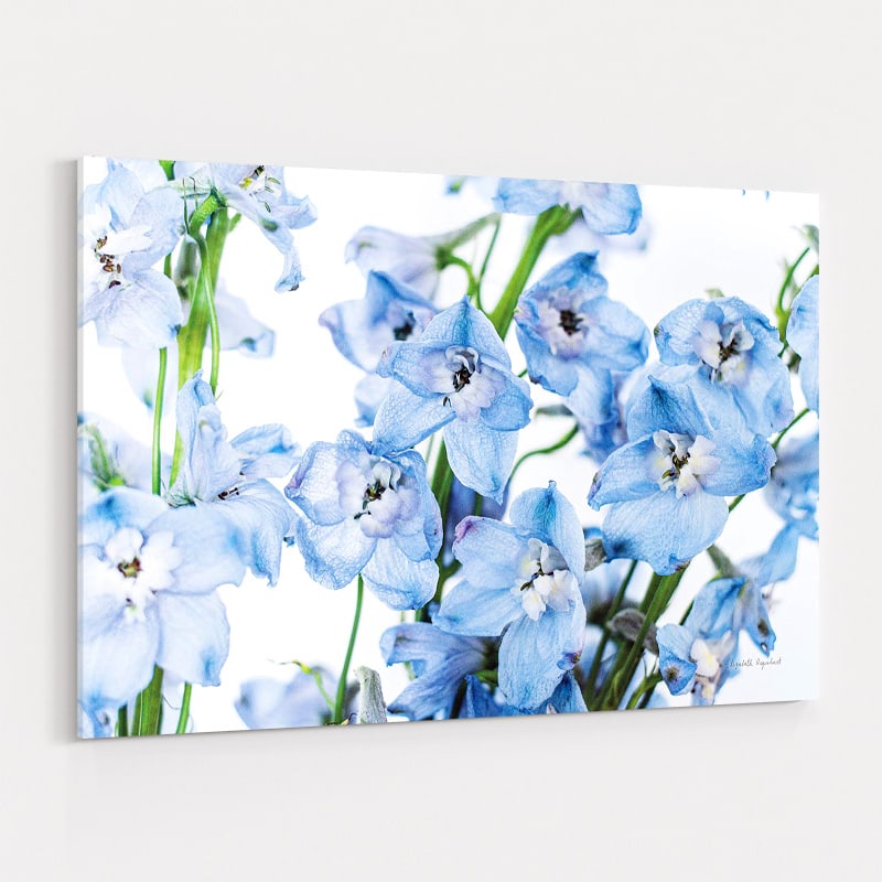 Freshly Picked Delphinium I by Elizabeth Urquhart wall art