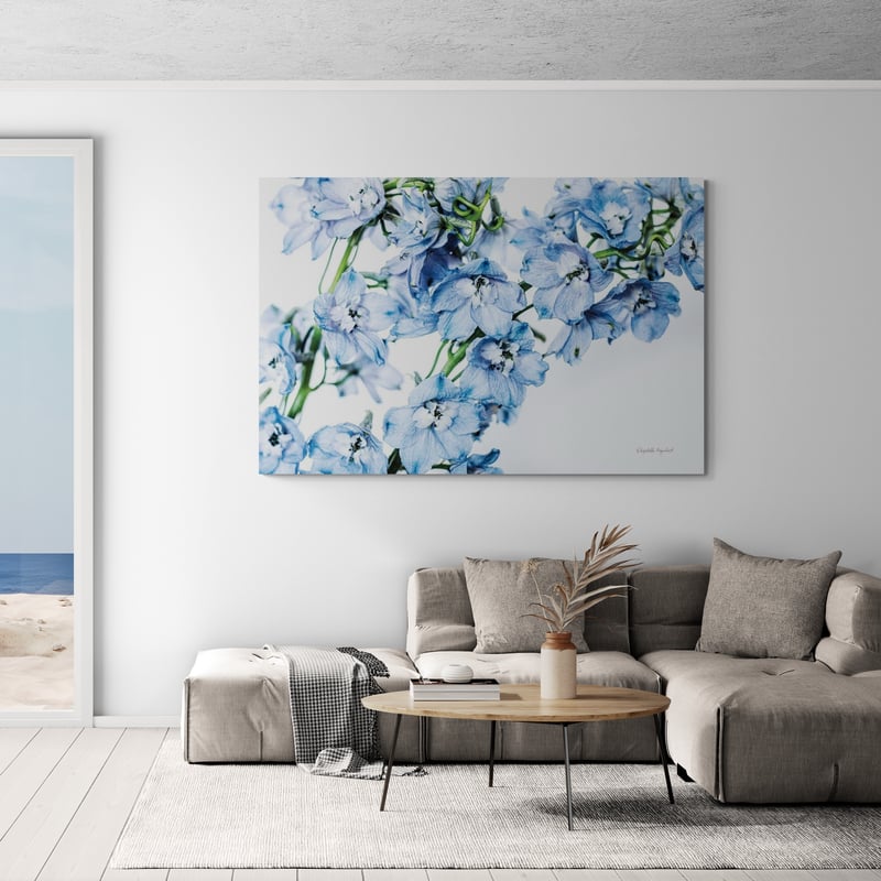 Freshly Picked Delphinium II by Elizabeth Urquhart wall art in a living room