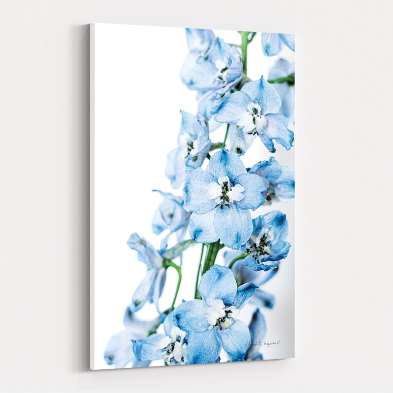 Freshly Picked Delphinium III by Elizabeth Urquhart wall art