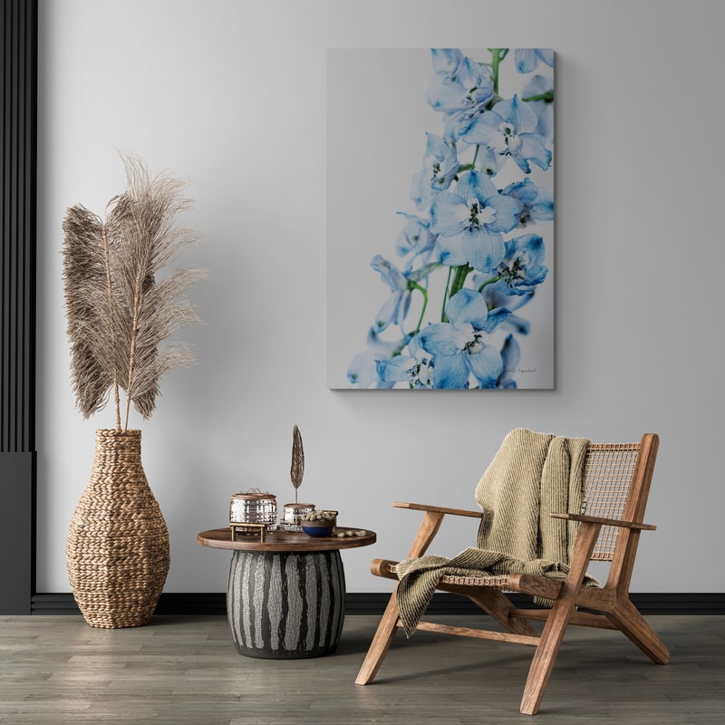 Freshly Picked Delphinium III by Elizabeth Urquhart wall art in a living room