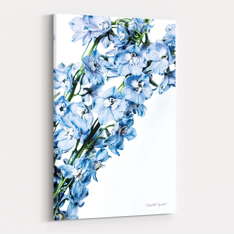 Freshly Picked Delphinium IV by Elizabeth Urquhart wall art
