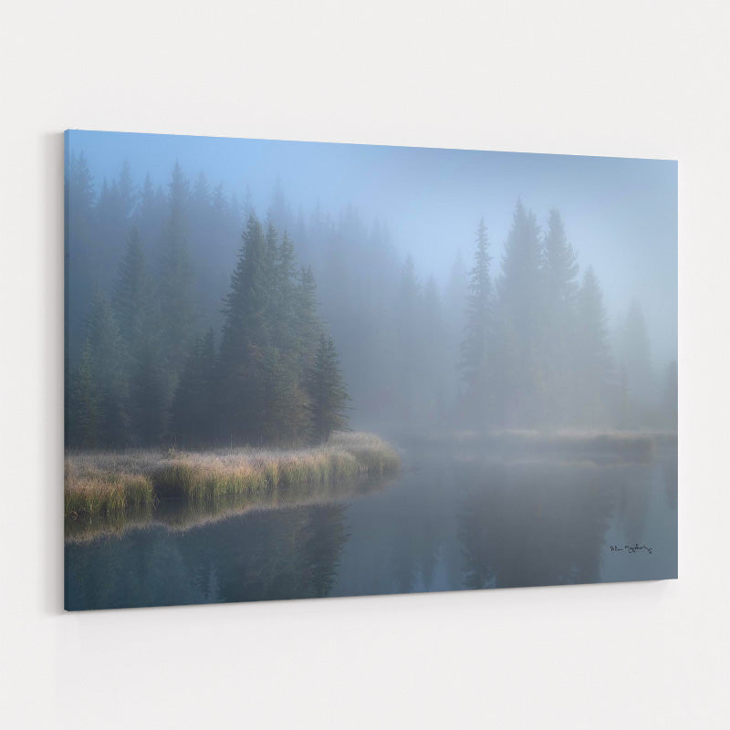 Grand Teton Lake Fog by Alan Majchrowicz wall art