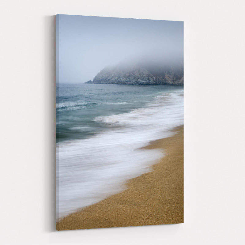 Gray Whale Cove by Alan Majchrowicz wall art