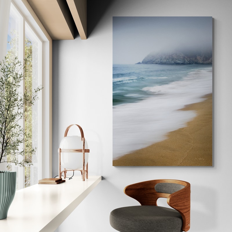 Gray Whale Cove by Alan Majchrowicz wall art from Glam Wall Art