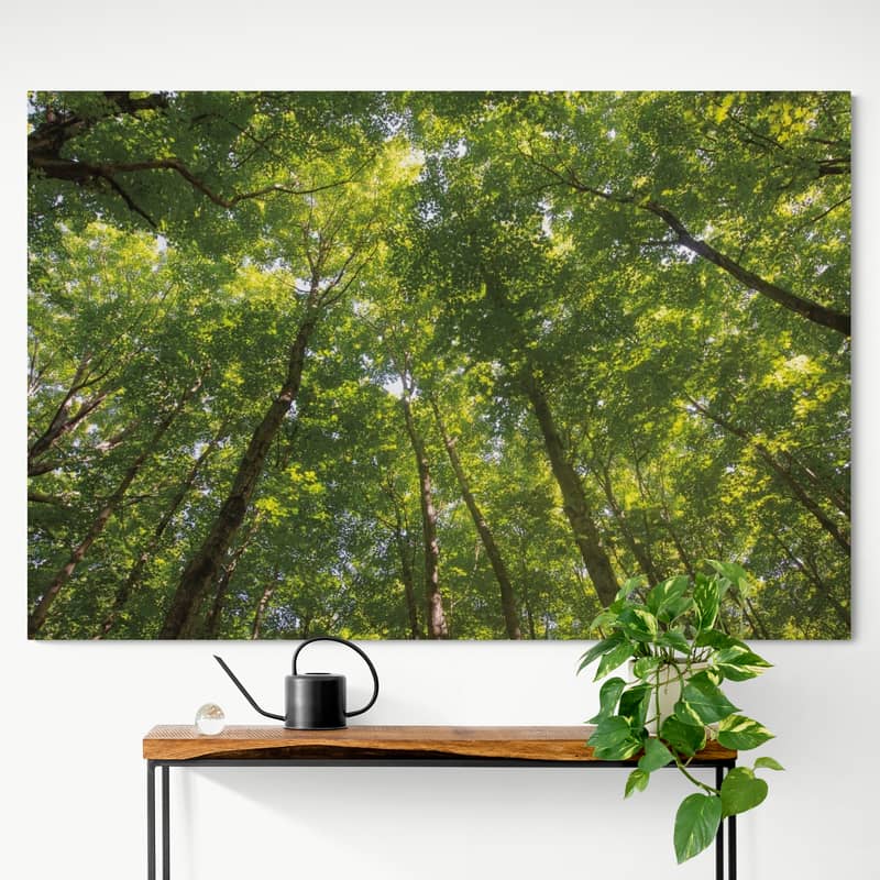 Hardwood Forest Canopy Iv by Alan Majchrowicz wall art from Glam Wall Art