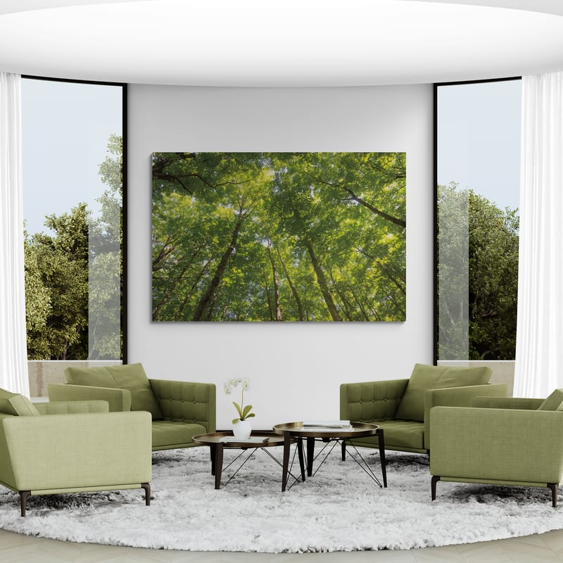 Hardwood Forest Canopy Iv by Alan Majchrowicz wall art in a living room