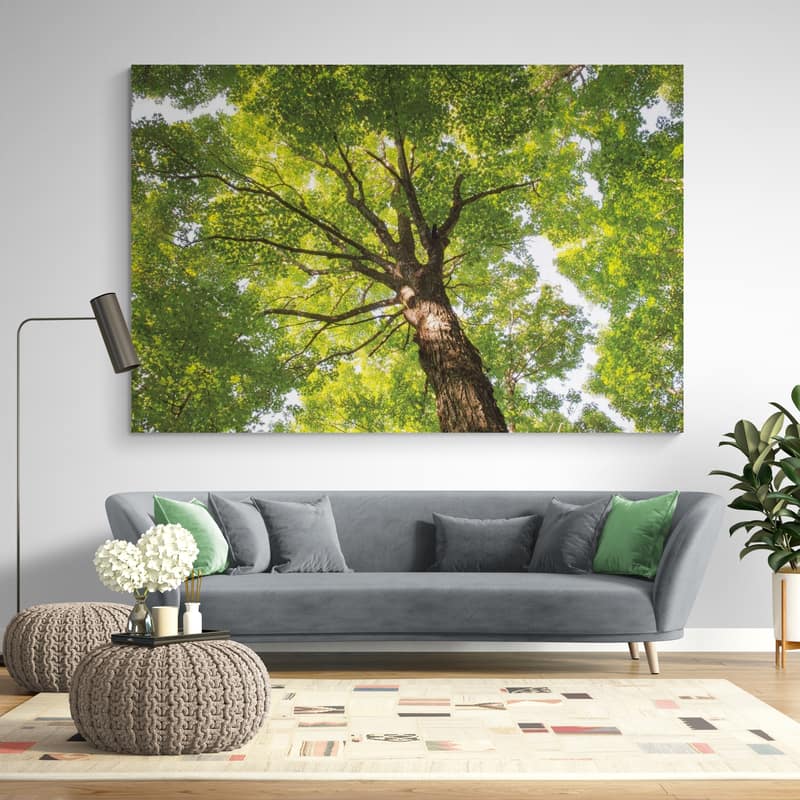 Hardwood Forest Canopy V by Alan Majchrowicz wall art in a living room
