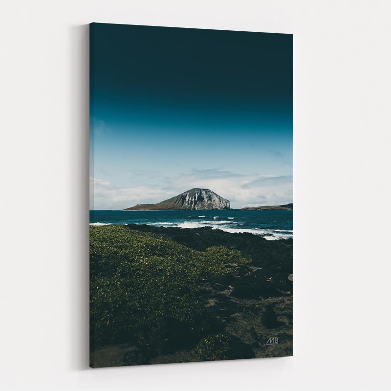 Hawaiian Mood by Max Blakesberg Studios wall art