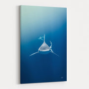 Heads Up by Max Blakesberg Studios wall art