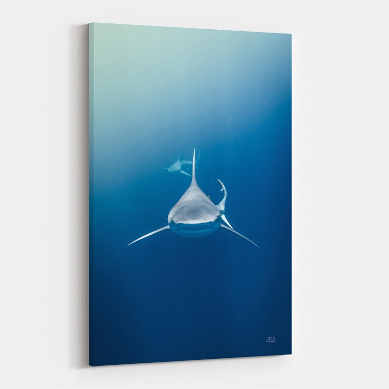 Heads Up by Max Blakesberg Studios wall art