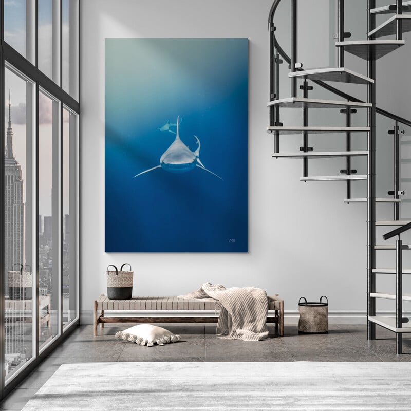 Heads Up by Max Blakesberg Studios wall art in a living room