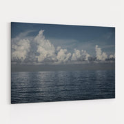 Into The Deep II by Elizabeth Urquhart wall art