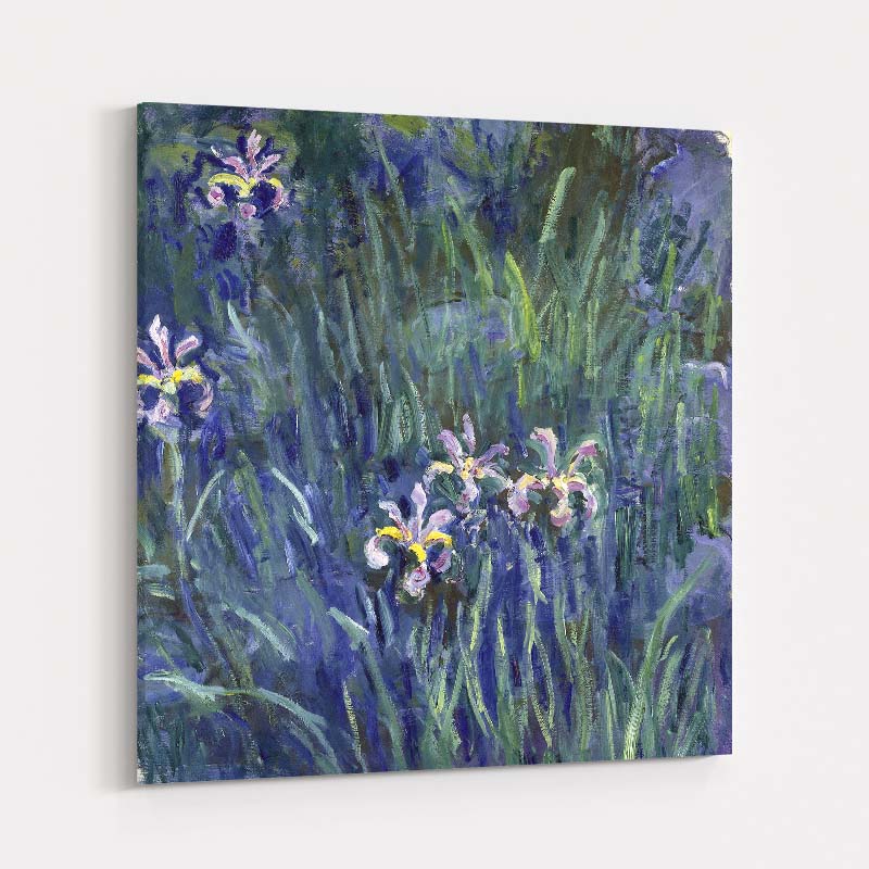 Iris by Claude Monet wall art